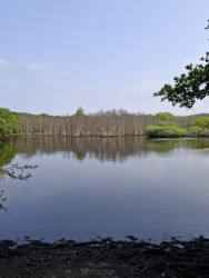 Bergen aan Zee