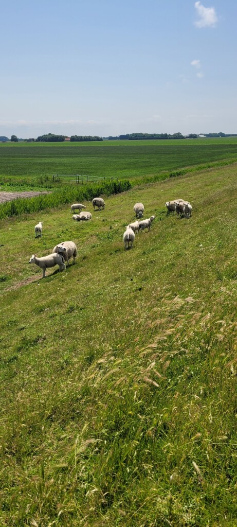 etappe 1 Noord Holland pad