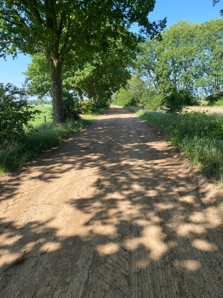 Reeststouwe - Oranje