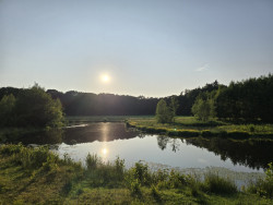 Tusveld - Blauw