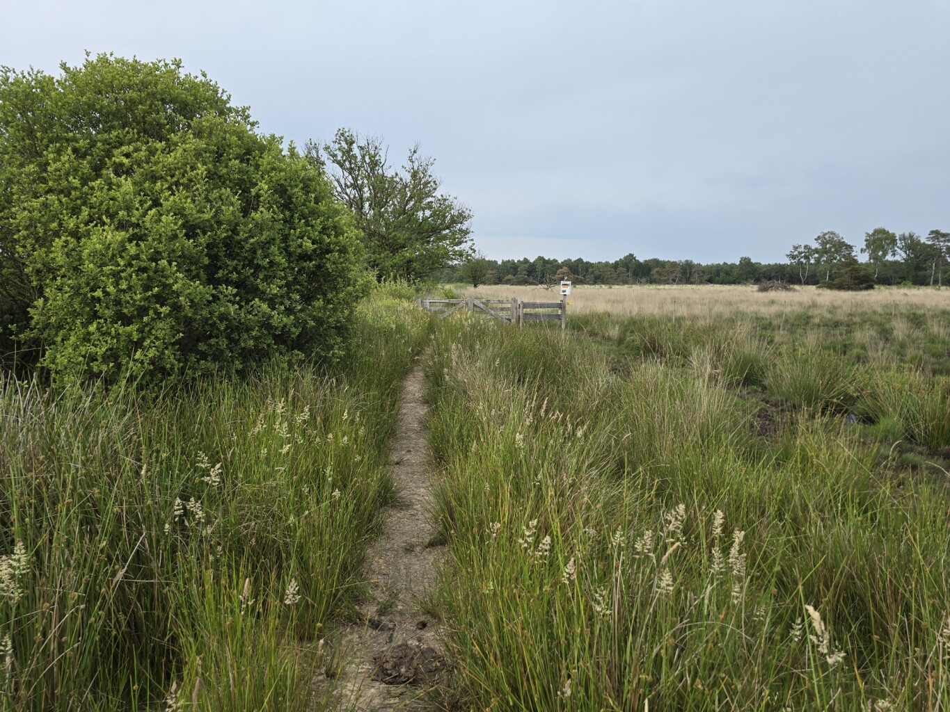Leggelderveld en Blauwe meer