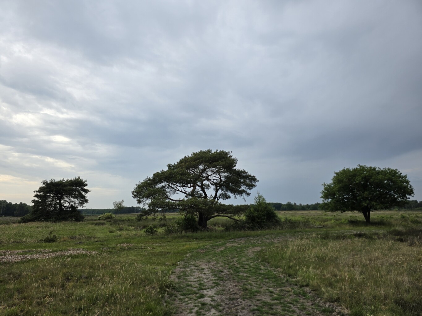 Leggelderveld en Blauwe meer