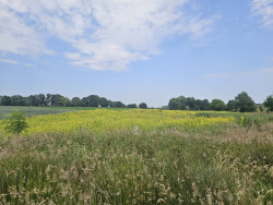 Nuth - Gulpen · Pelgrimspad etappe 23