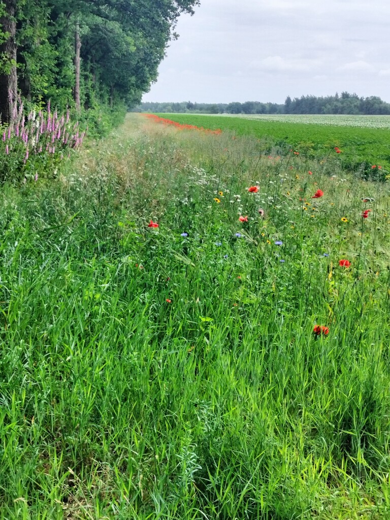 Poolshoogte Storytrails