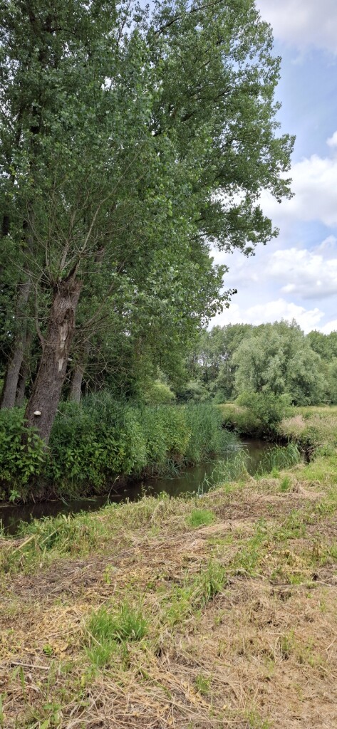 Wandelroute Loondermolenpad