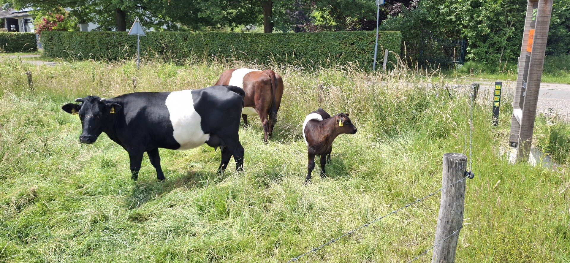 Wandelroute Loondermolenpad