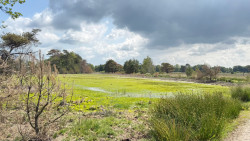 Wandelroute Leersumse Veld