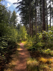WMD wandelroute Gasselte
