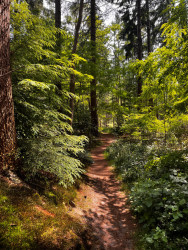 WMD wandelroute Gasselte