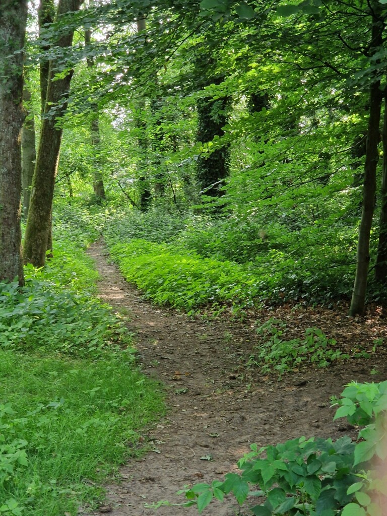 klein rondje Westerbork