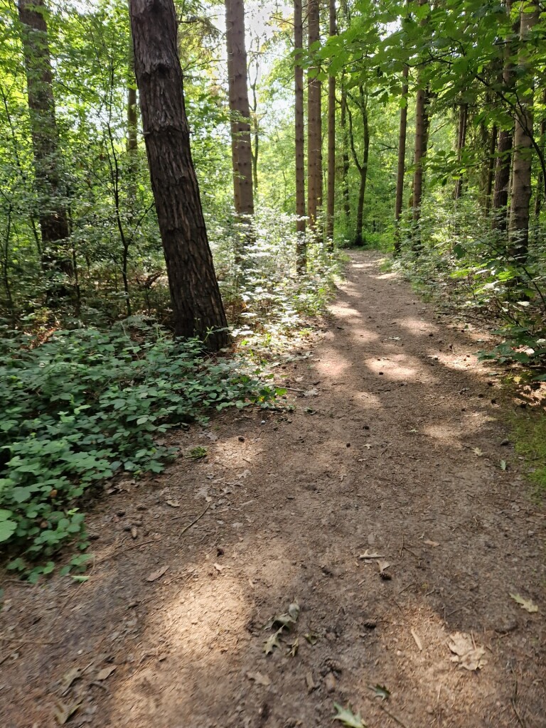 klein rondje Westerbork