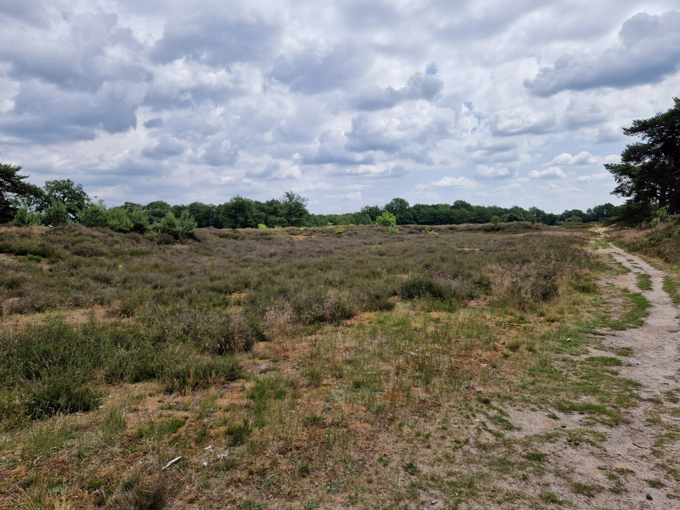 rondje Westerbork/Orvelte