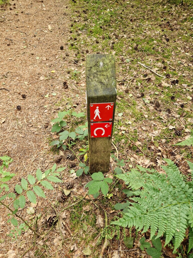 rondje Westerbork/Orvelte
