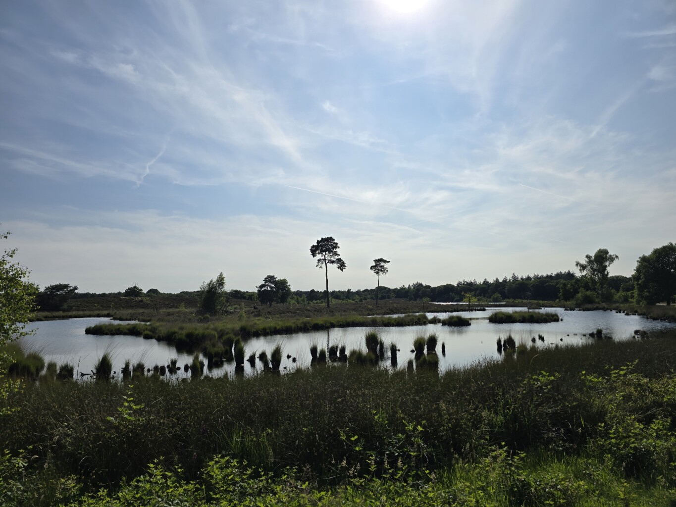 4daagsetraining rond Nijmegen