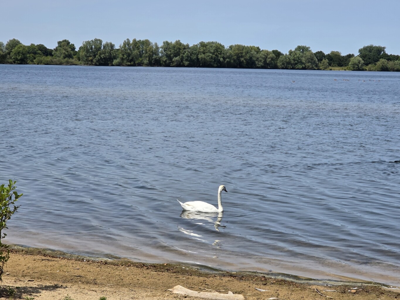 4daagsetraining rond Nijmegen