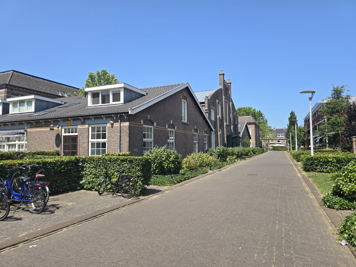 Goudenkruisdragerspad