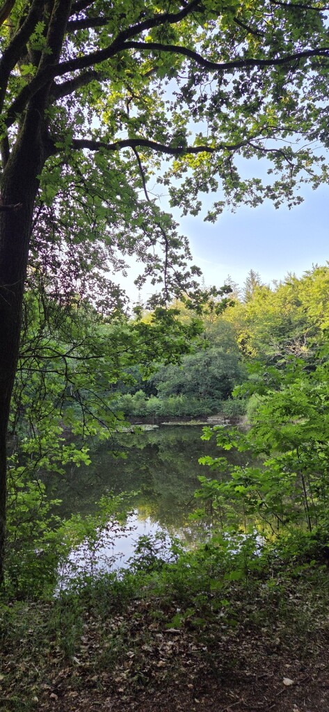 Wandelroute Schoonmeer