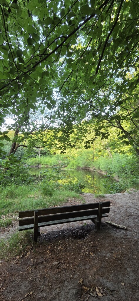 Wandelroute Schoonmeer