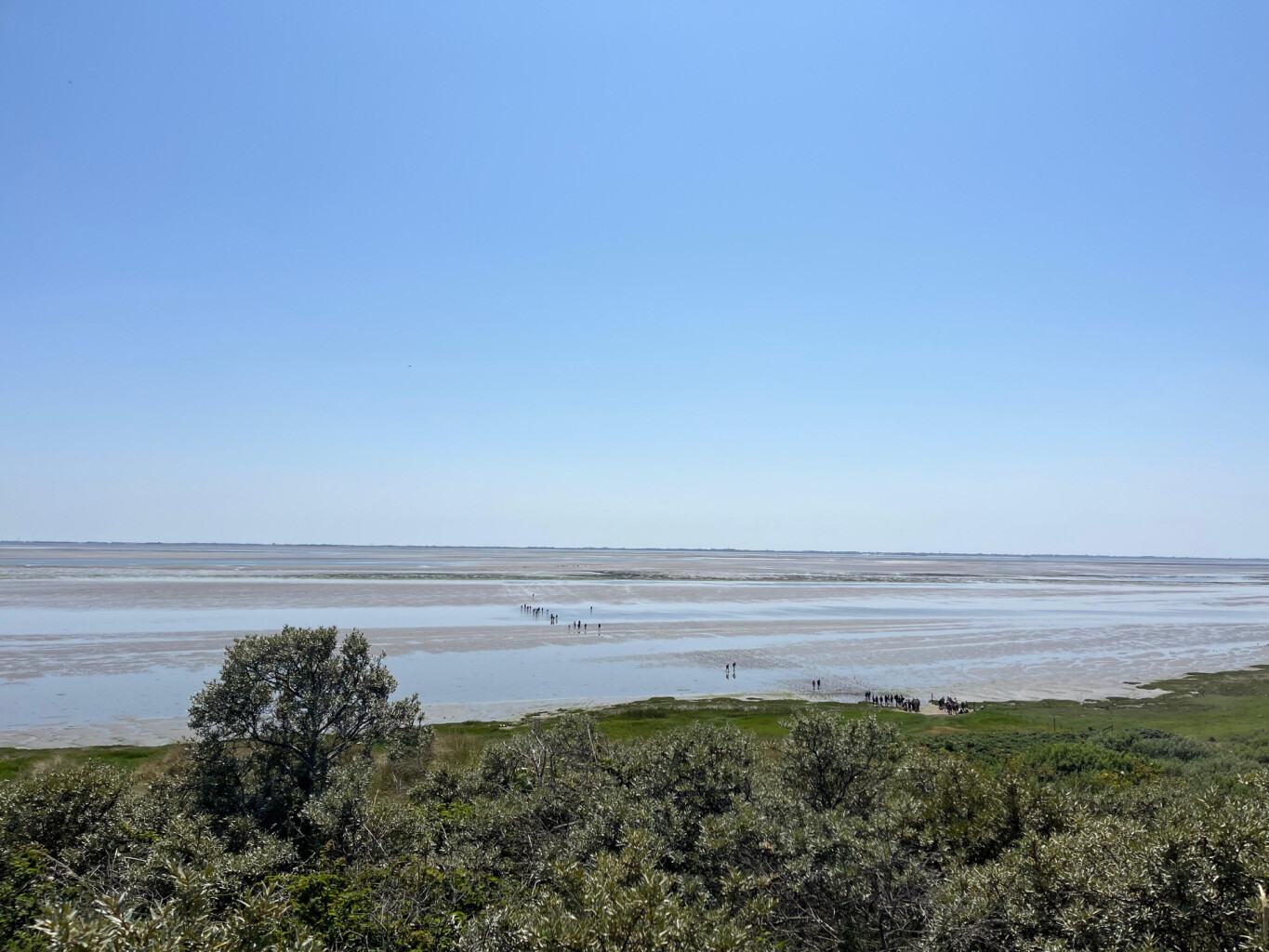 Wadlooptocht Holwerd-Ameland | Klooster Claercamppad