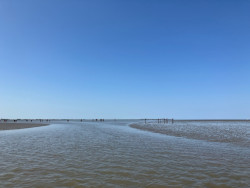 Wadlooptocht Holwerd-Ameland | Klooster Claercamppad