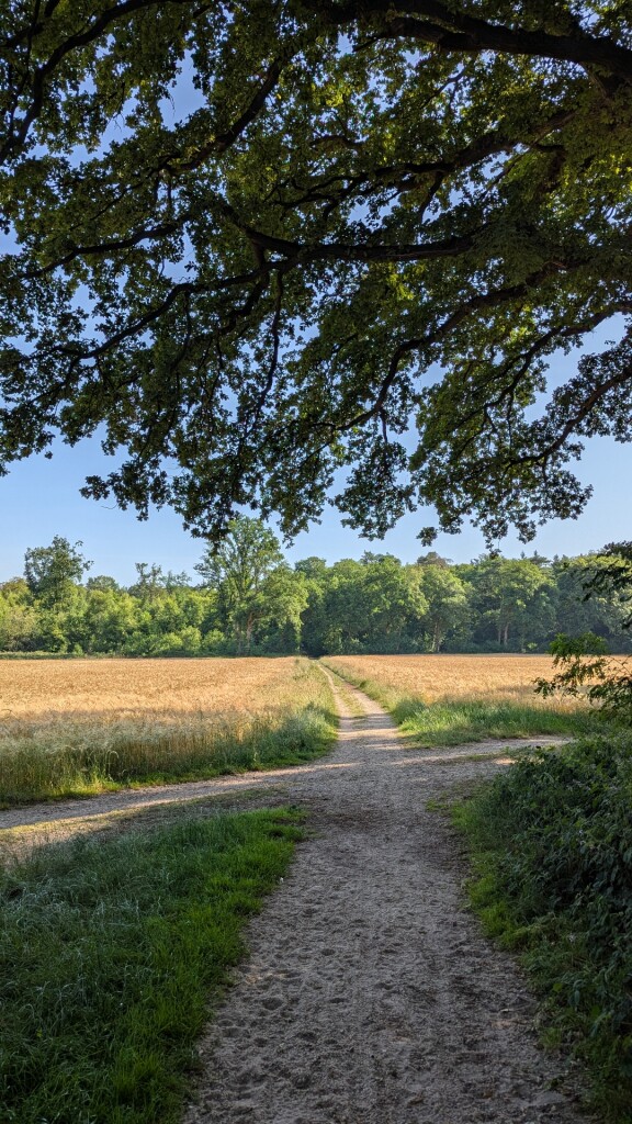 Montferland Toppenronde