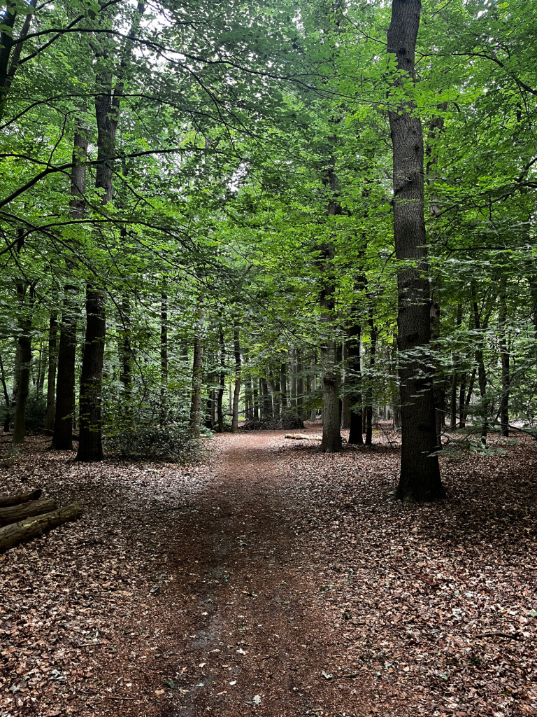 Wandelroute Kanunnikenpad