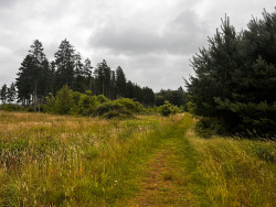 Wandelroute Kanunnikenpad