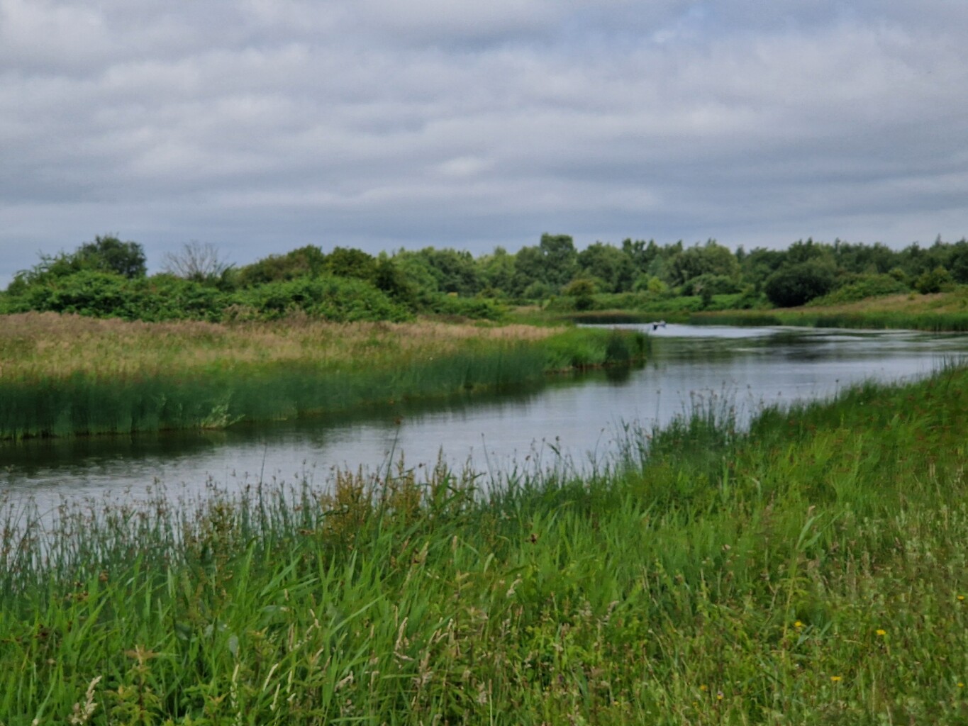 Beneden Sas/Dintelse Gorzen
