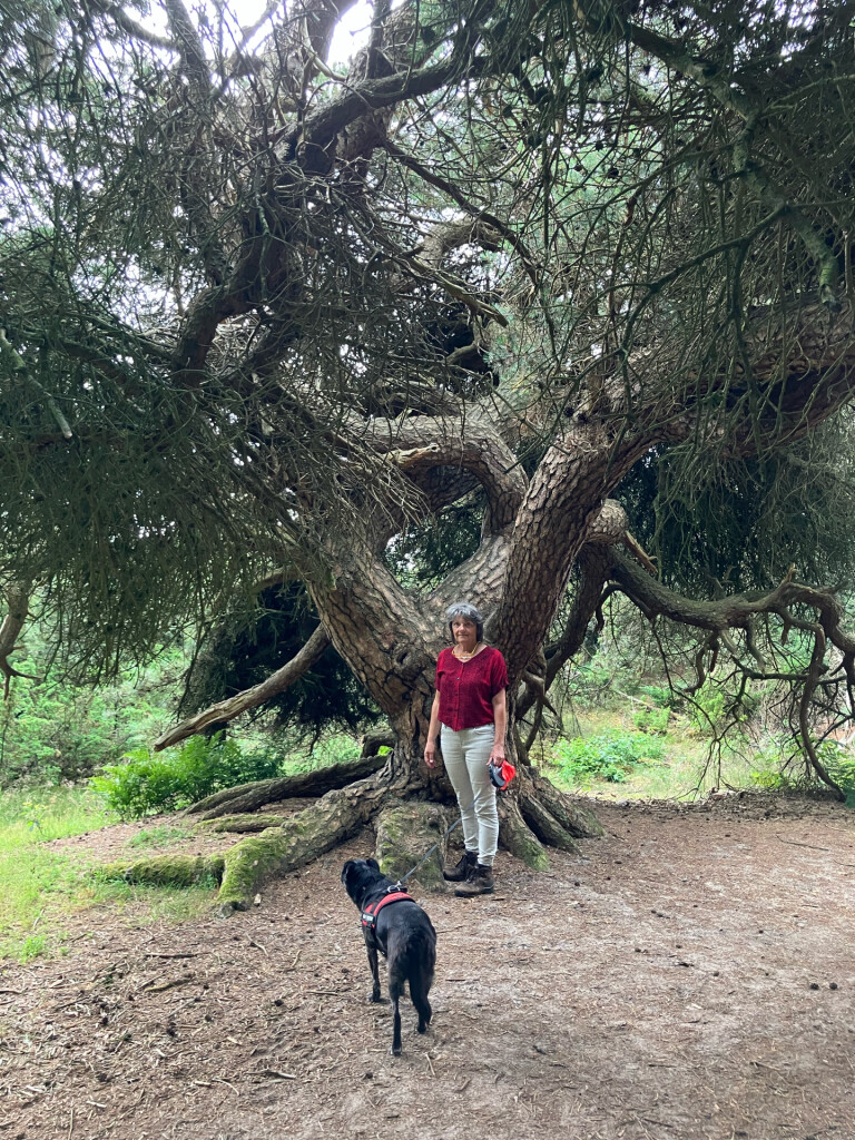 Mantingerveld - Rood