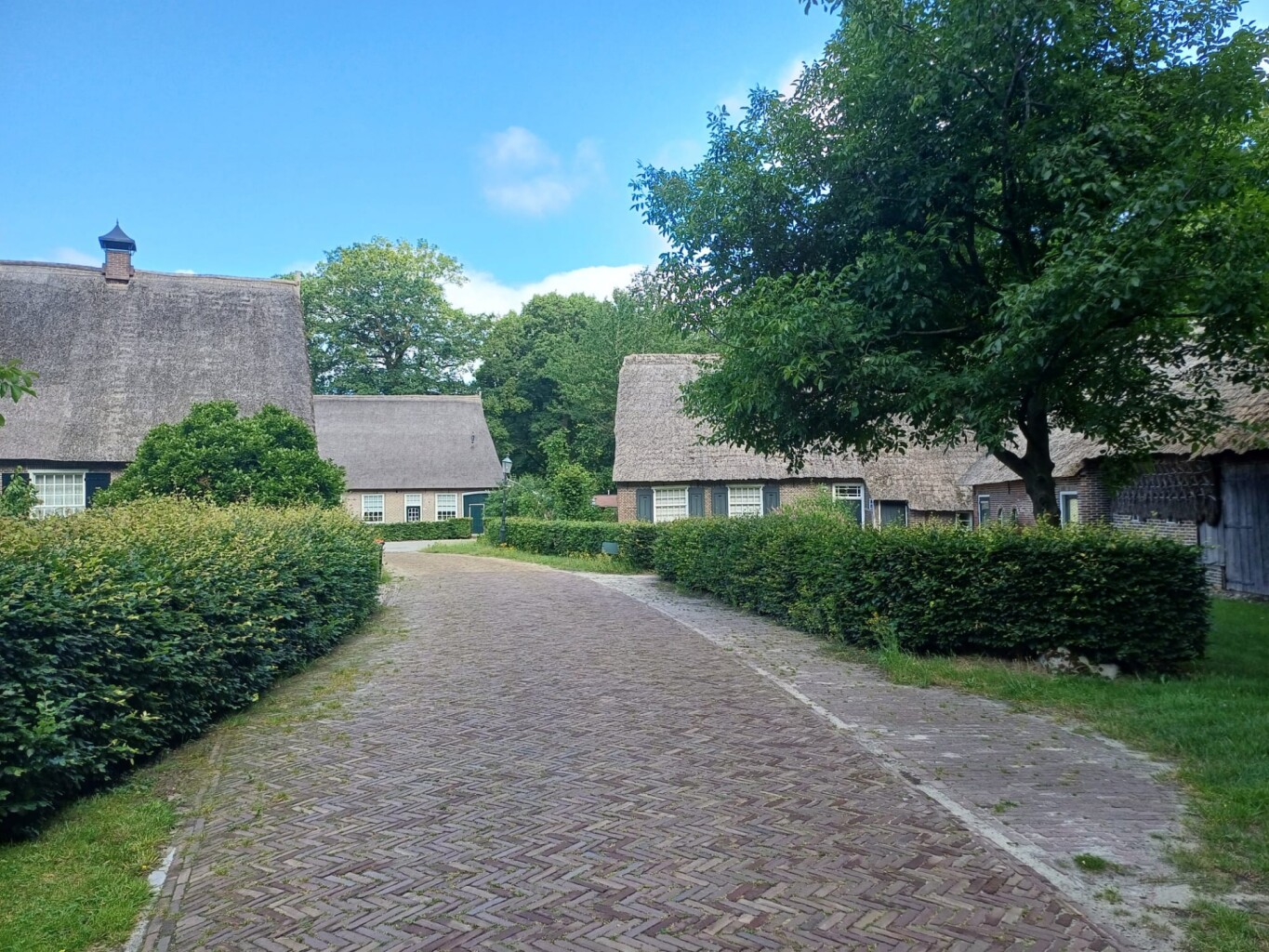 Weiteveen - Emlichheim · Noaberpad etappe 8