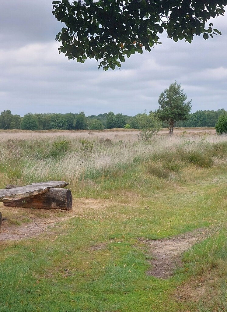 Dwingeloo - Ruinen · Roots Natuurpad etappe 10