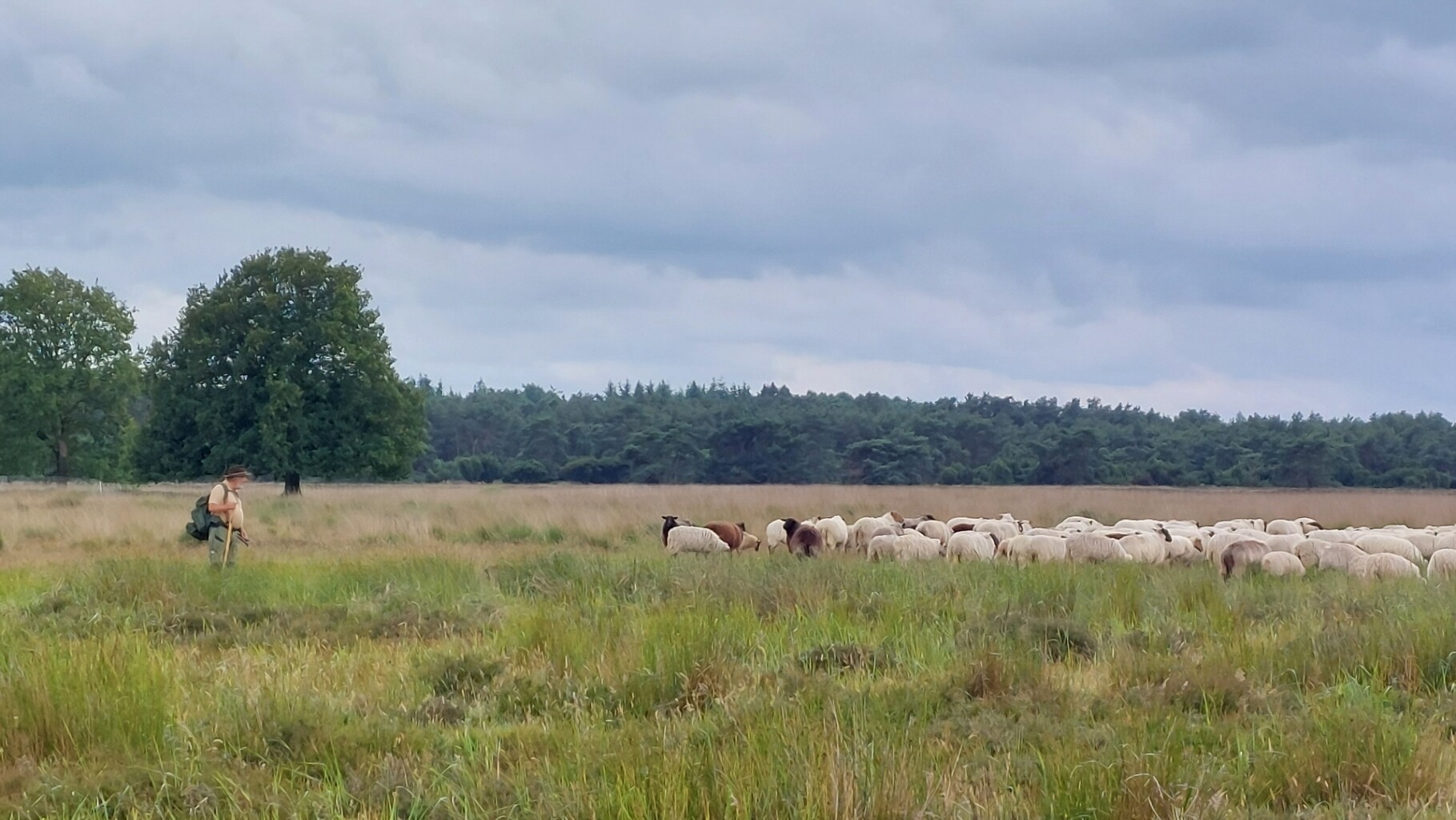 Hooghalen - Hijken · Roots Natuurpad etappe 8