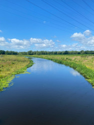 Nijrees - Groen