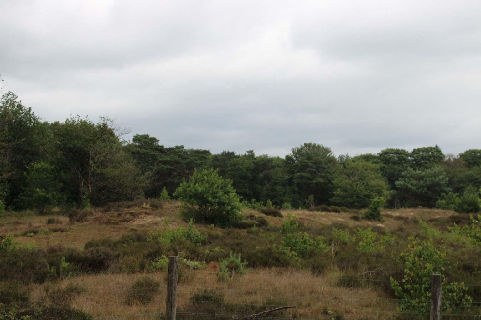 Rolstoelroute Mandefjild Bakkeveen