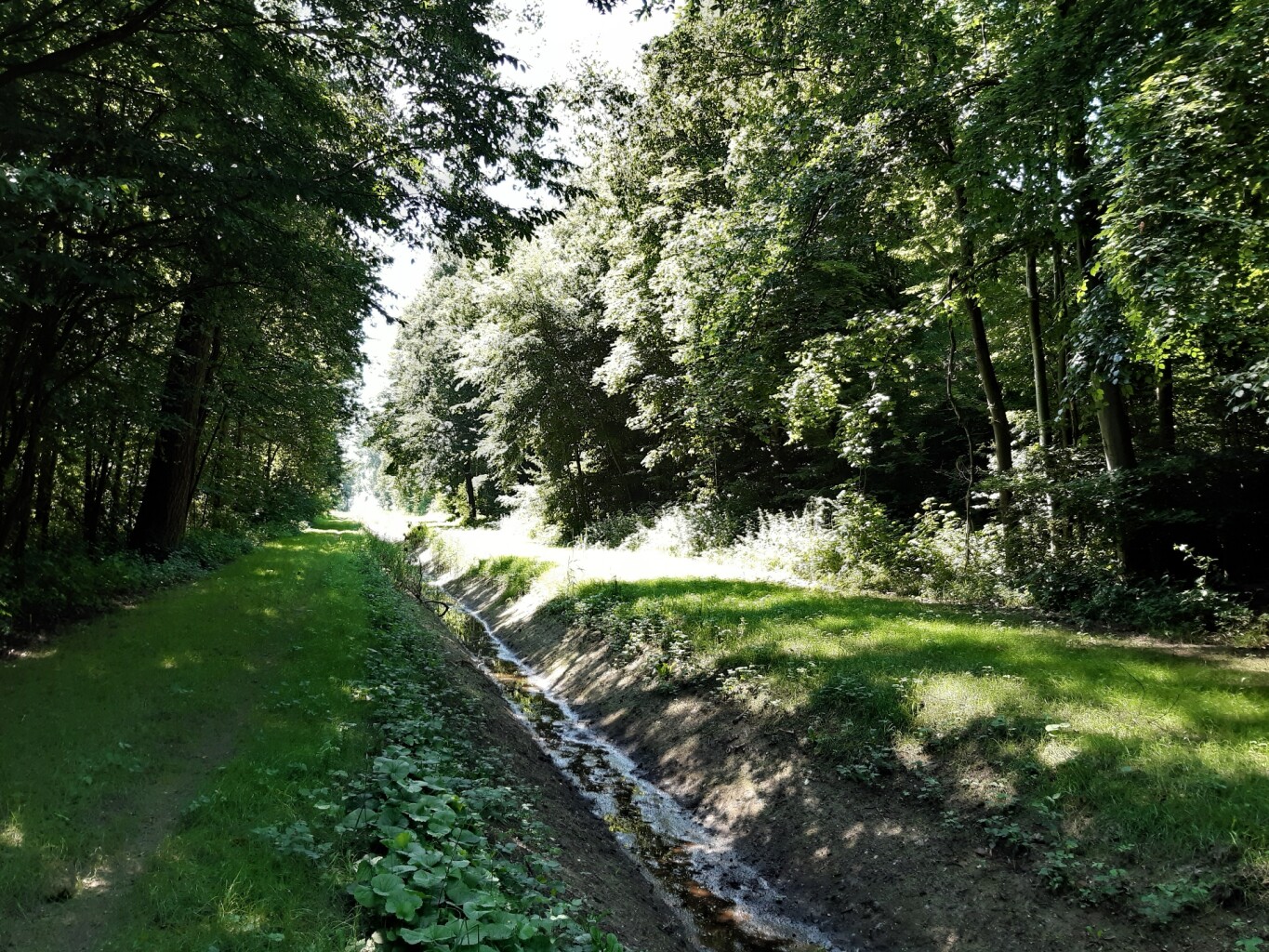 Wandelroute Genenbank