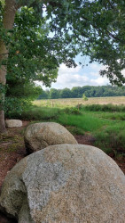 Ruinen - Zuidwolde · Roots Natuurpad etappe 11