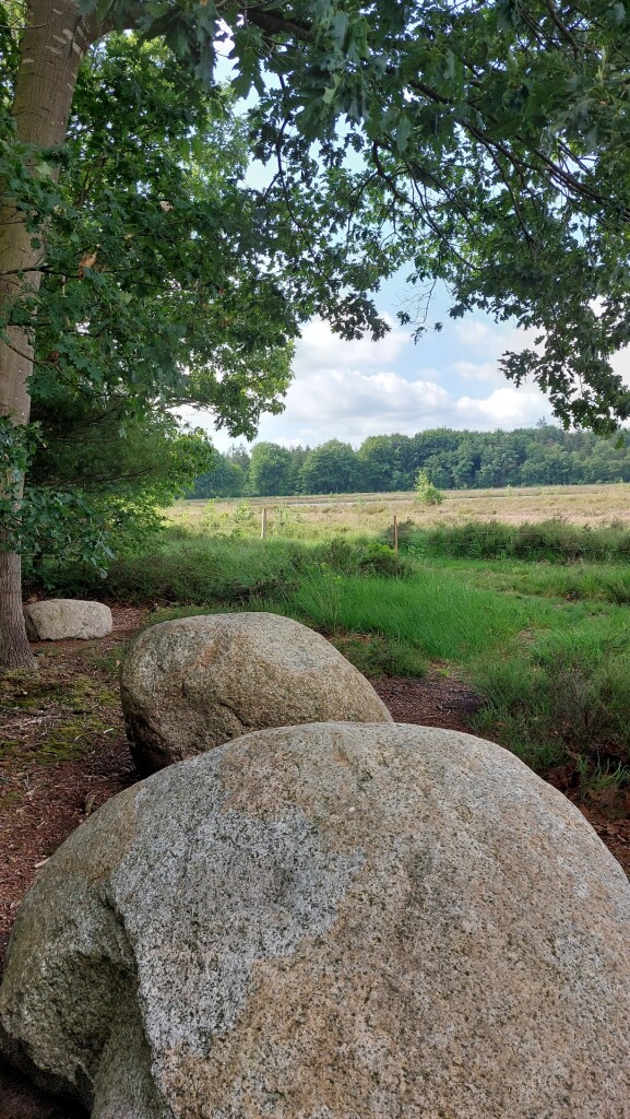 Ruinen - Zuidwolde · Roots Natuurpad etappe 11