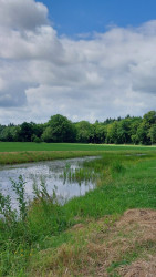 Ruinen - Zuidwolde · Roots Natuurpad etappe 11