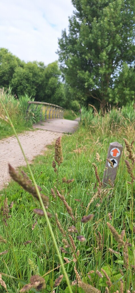 Calatravaroute (zwart)