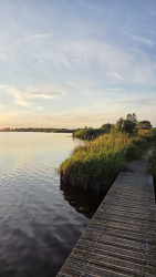 Knuppelpad