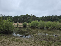Maarn - Maarnse Berg -  Maarn · Utrechtse Mountain Trail etappe 4