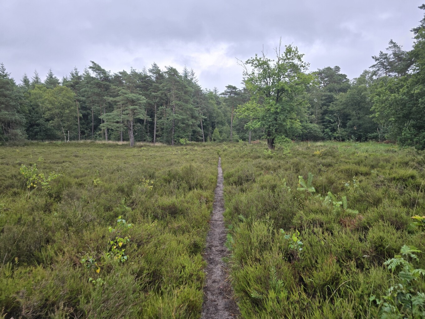 Maarn - Maarnse Berg -  Maarn · Utrechtse Mountain Trail etappe 4