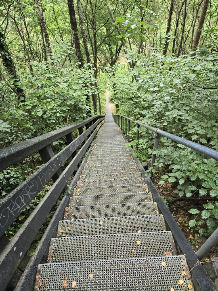 Maarn - Maarnse Berg -  Maarn · Utrechtse Mountain Trail etappe 4