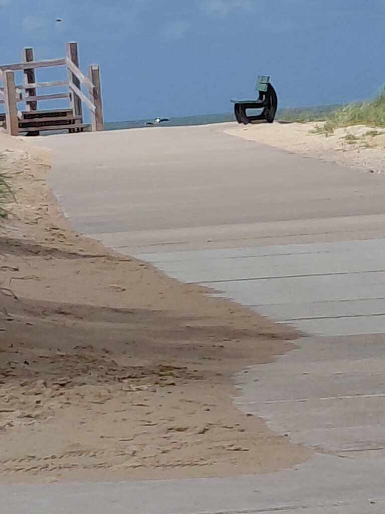 Vlissingen naar Zoutelande - "Blij dat ik hier ben" · NederRandpad etappe 56
