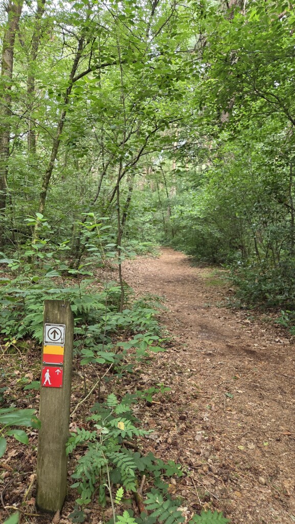 Boswachterspad Oer 't Veld