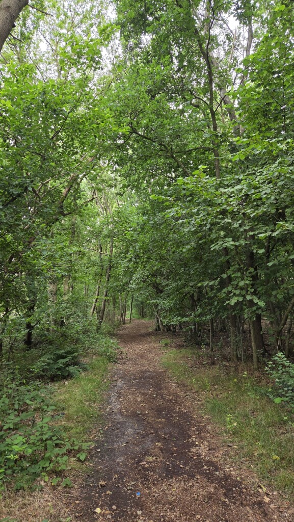 Boswachterspad Oer 't Veld