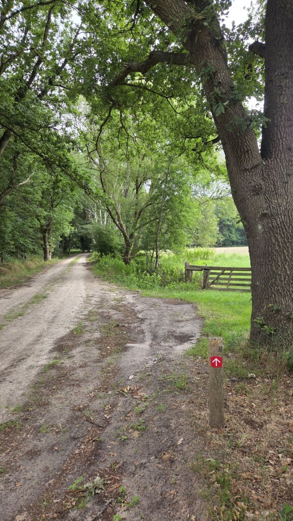 Boswachterspad Oer 't Veld