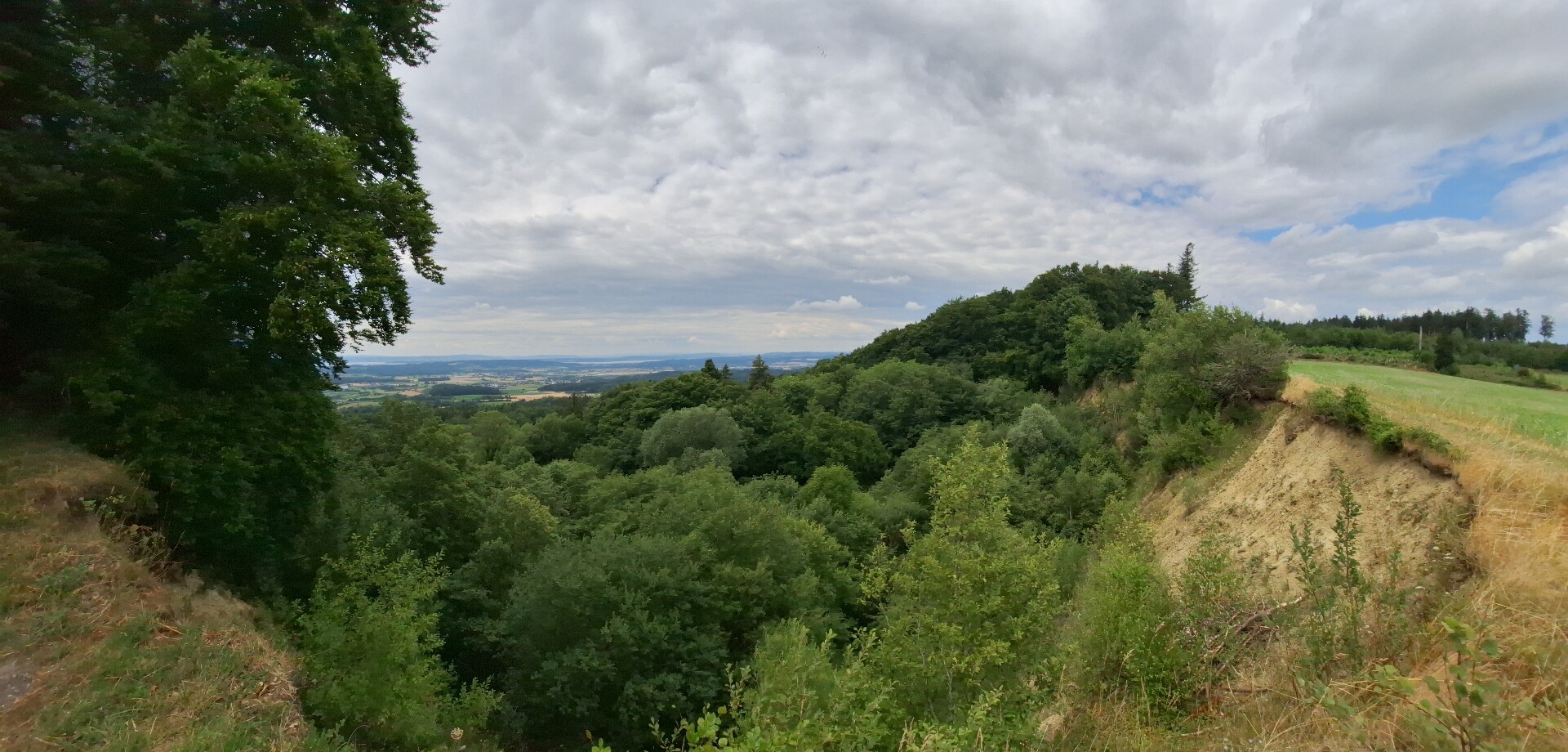 Premiumwanderweg "GuckinsLand"