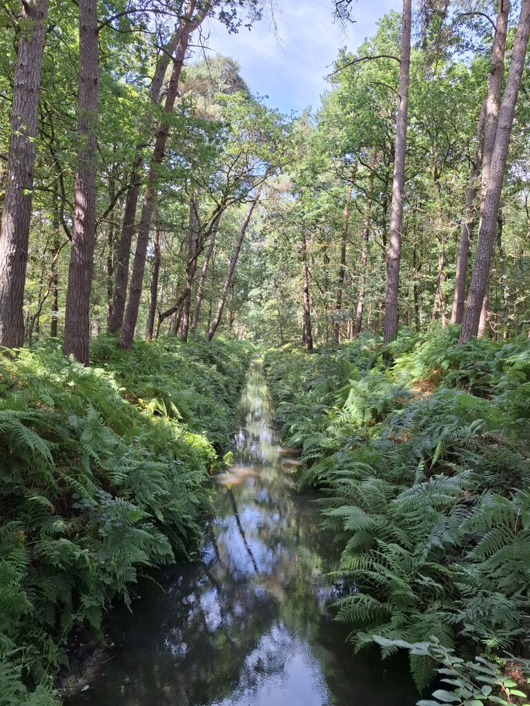 peerkesbosch-daatjeshoeve