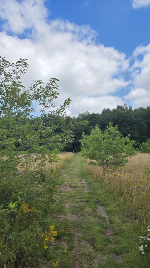 Wandelroute Aekingerpad